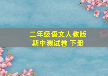 二年级语文人教版期中测试卷 下册